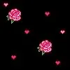 Pink Roses Background