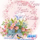 Glitter Graphics