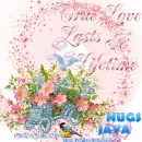 Glitter Graphics