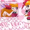 Hyper Blossom