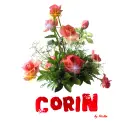 Corin