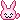 Cute Bunny