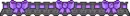 Black/purple divider