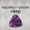 cusp