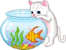 kitty+fish
