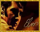 ELVIS