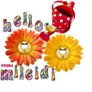 Glitter Graphics