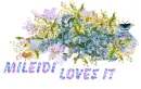 Glitter Graphics