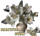 Glitter Graphics