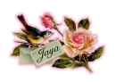 Jaya