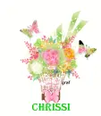 chrissi