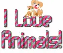I love animals! Cat and dog...