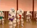 workout poodles