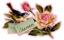 Shereen