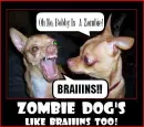 Zombie Dog