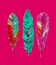 Cute Feathers