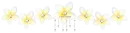Yellow Flowers