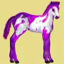 moving horse