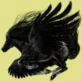 my horse