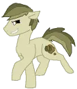 Dusty Hooves