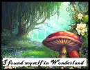 I Found Myself in Wonderland