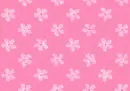 Pink Flowers