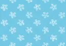 Blue Flowers