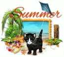 Summer