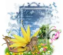 Yellow Fairy