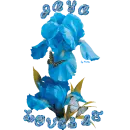 Jaya