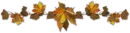Abtract Divider