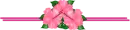 Abtract Divider