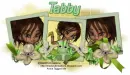 Tabby