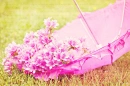 April Flowers