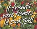if friends were flowers