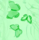 green butterfly background