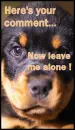 Leave me alone