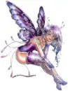 Corset Fairy