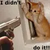 I didn't do it!