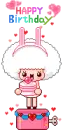 rabbit bday