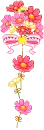 sunshine flower