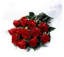 roses2