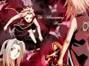 The Blossoming Kunoichi