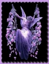 fairies