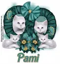 Pami