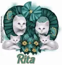 Rita