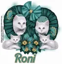  Roni