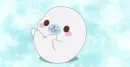 Cute_Aniamal