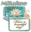 Golden swan - Milaine