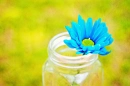 Beautiful Blue